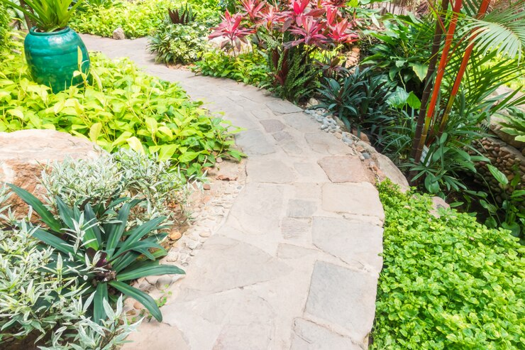 Garden Transformation